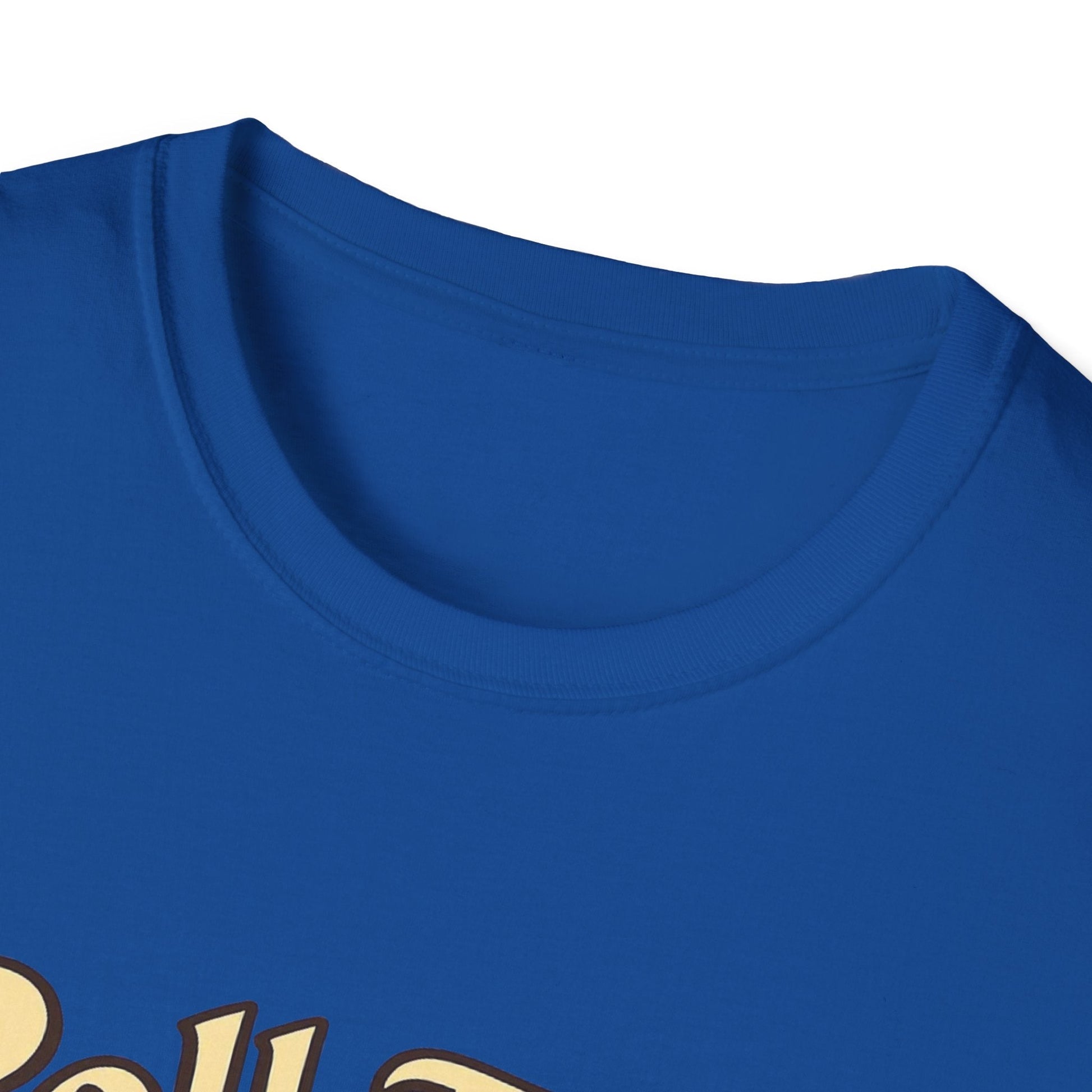 Unisex Softstyle T-Shirt Printify