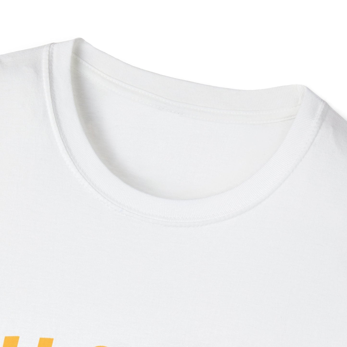 Unisex Softstyle T-Shirt Printify