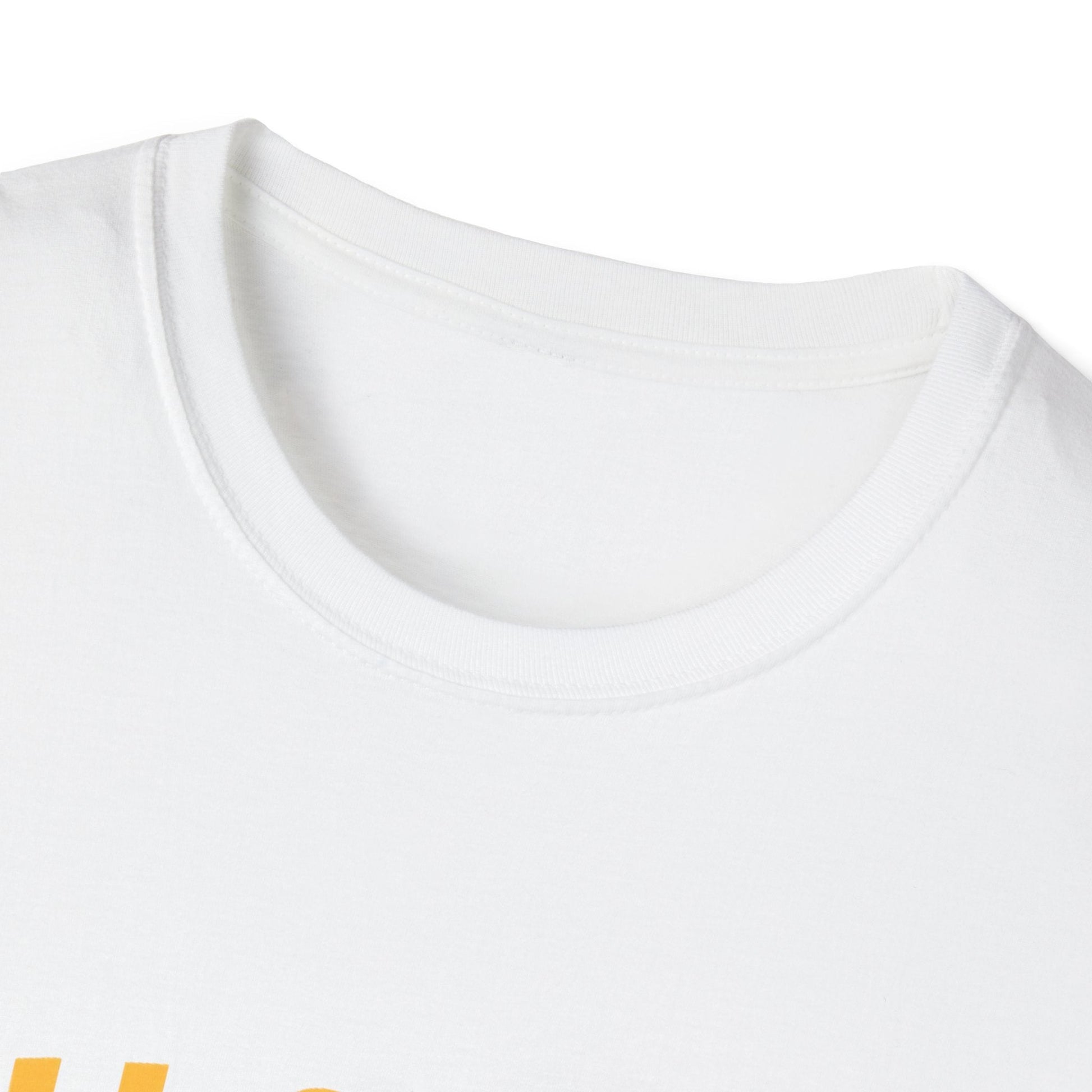 Unisex Softstyle T-Shirt Printify