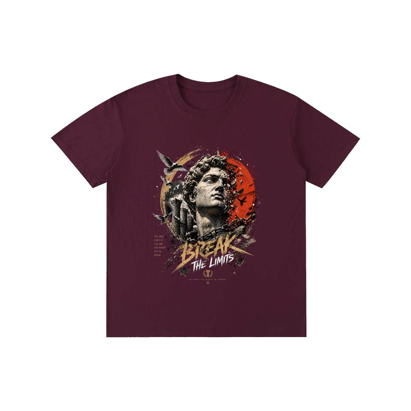 Pure Cotton Unisex T-Shirt